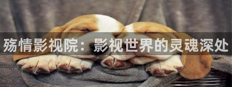 奇优影院在线伦理