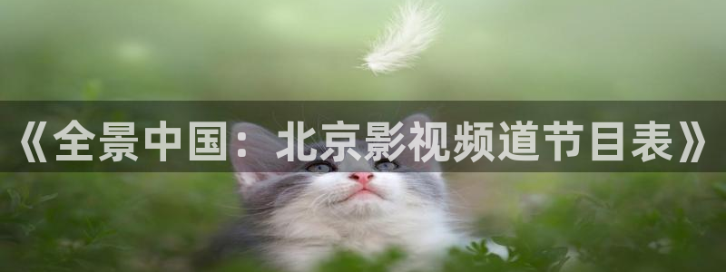 奇优免费手机影院：《全景中国：北京影视频道节目表》