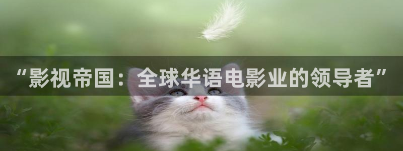 奇优影院手机版免费版下载：“影视帝国：全球华语电影业的领导者”