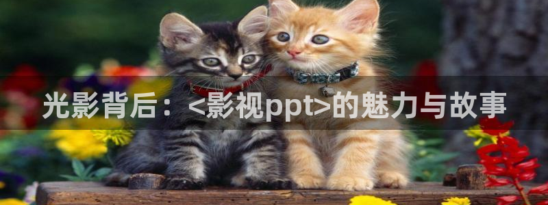 奇优影院热门电视剧：光影背后：<影视ppt>的魅力与故事