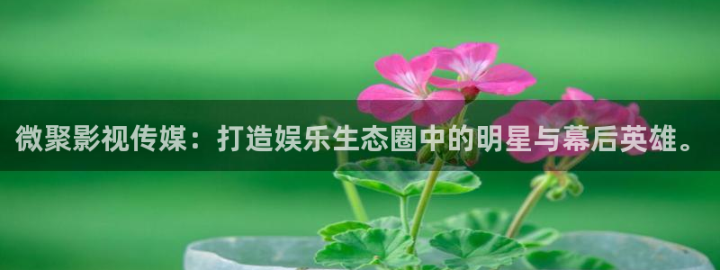 奇优影院理论片6080